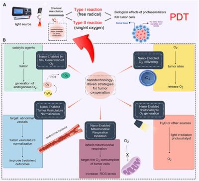 Engineering tumor-oxygenated nanomaterials: advancing photodynamic therapy for cancer treatment